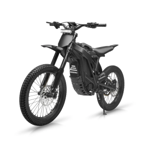 E Ride Pro SS