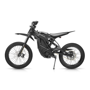 E Ride Pro SS